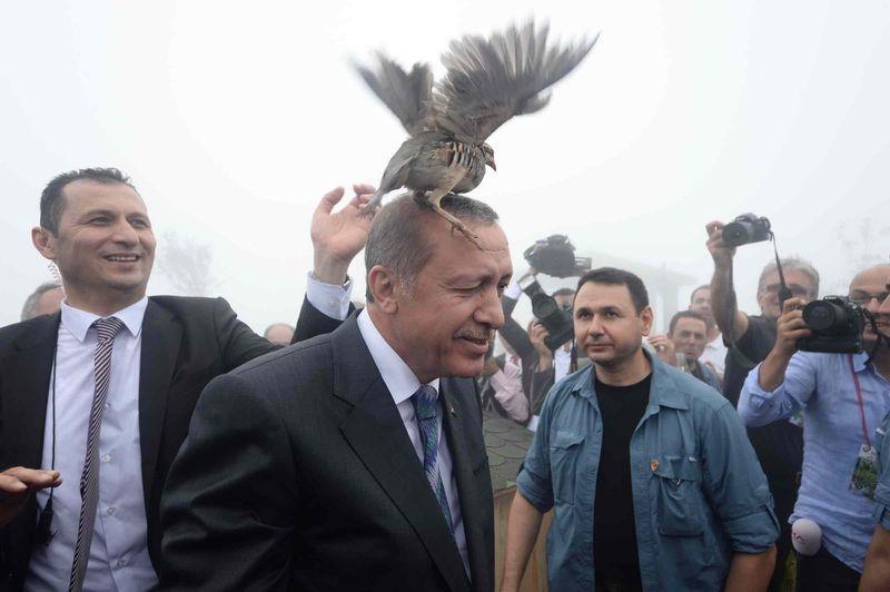Erdoghan.jpg