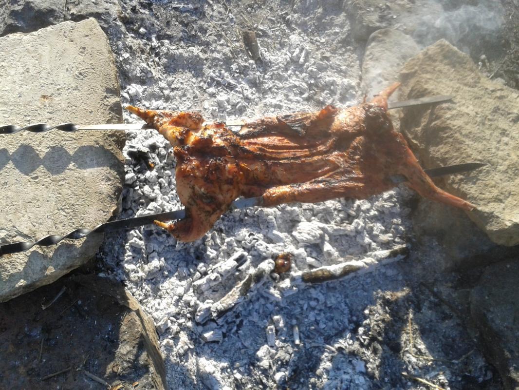 2015-11-25 14.58.18 (1).jpg