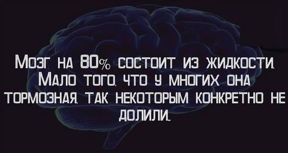Мозг.jpg