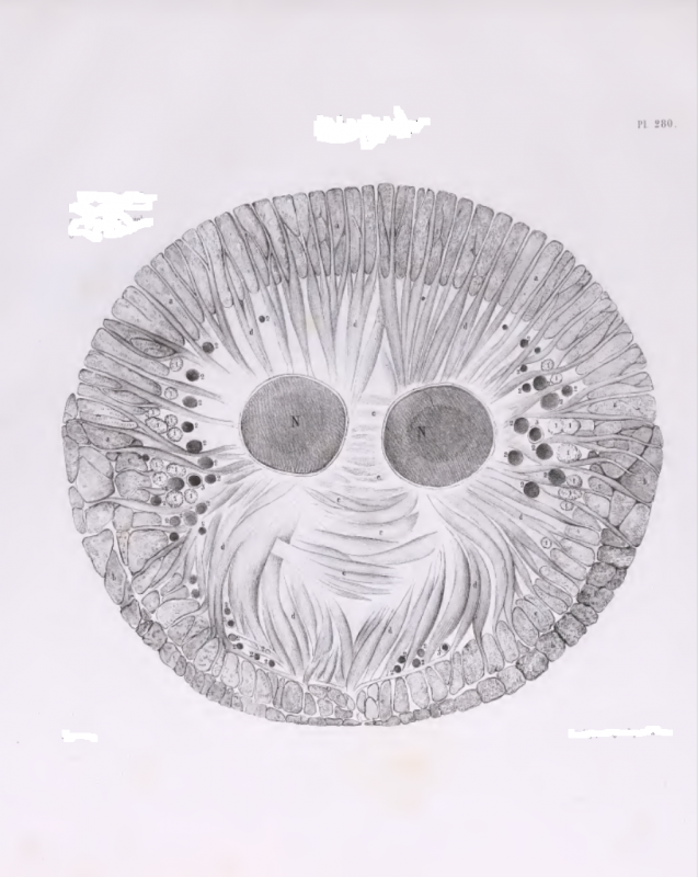 1430745920-0b18dd2eb55628b7c505fe9cca14b  cd8.png