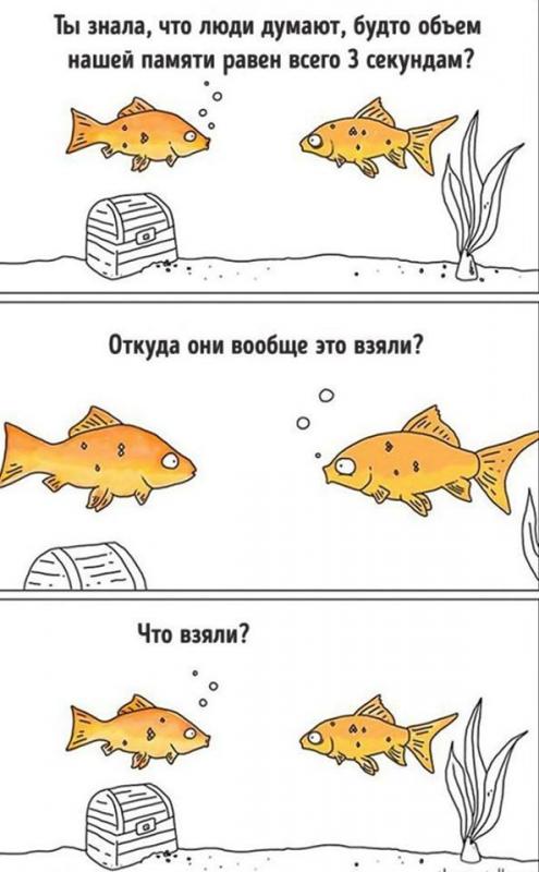 Рыбки.jpg