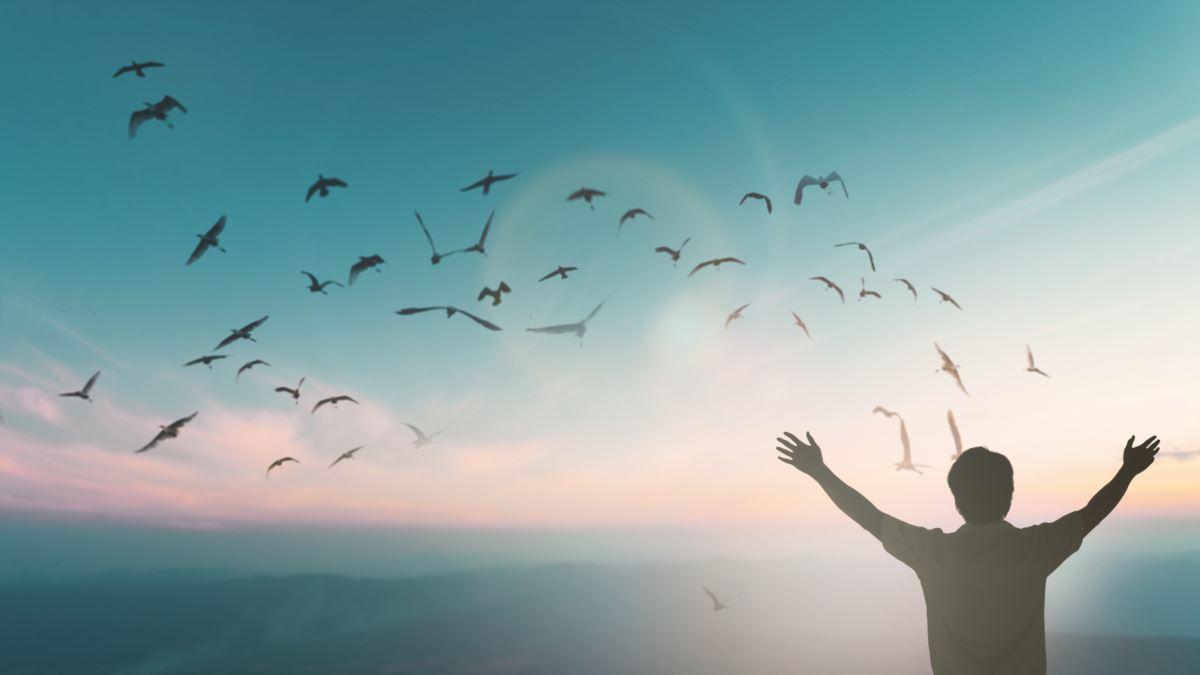 Блог Левона Казаряна