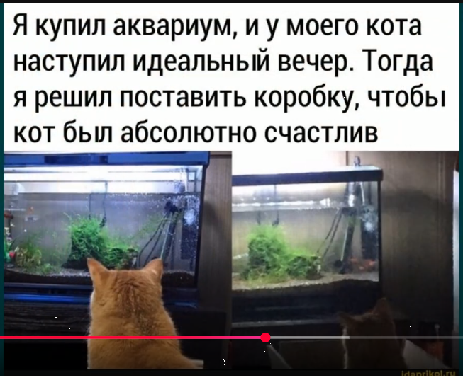 snip_20250331084436.png.be844958d6ee001383d0b1057609217f.png