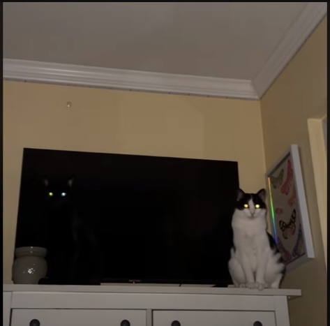 snip_20250401011621.png.923d306b08d410ebf2db6a431126759c.png