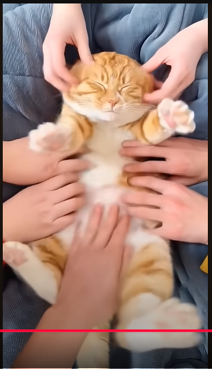 snip_20250402025253.png.2d5375cc1089076860e784a4e16118a3.png