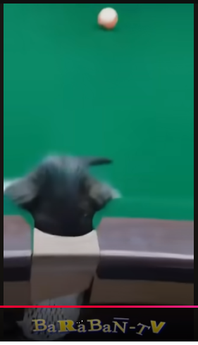 snip_20250422000215.png.29c08c8af337b8d1bf900846e0257fd4.png